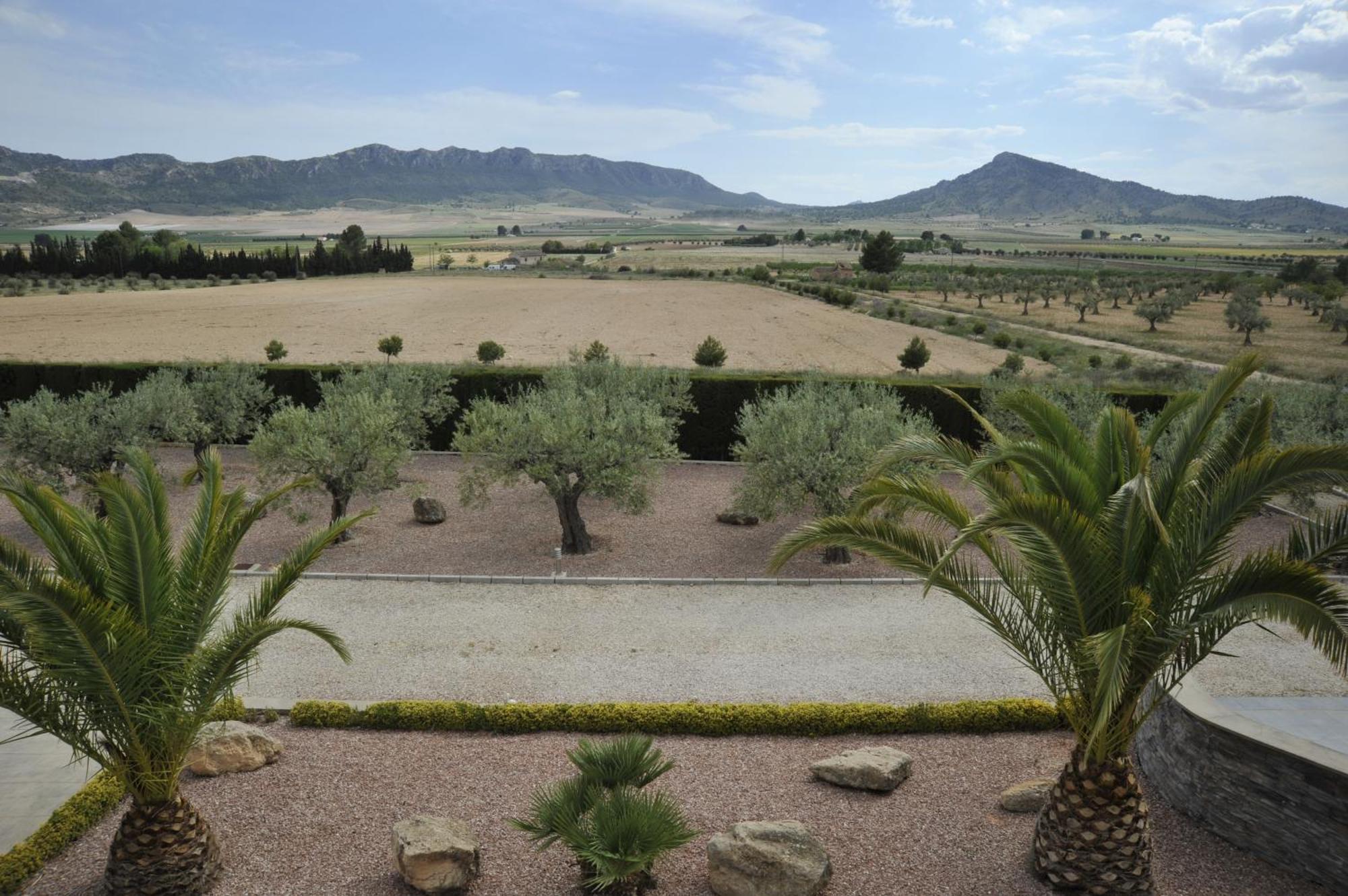 Villa Campo Premium Yecla Eksteriør bilde
